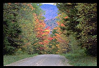 Texas Falls Road.  Vermont.