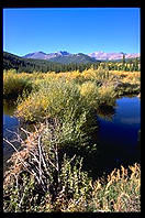 Beaver Dam.  Rocky Mountain National Park, Colorado.