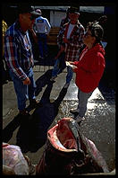 Halibut caught by tourists in Homer, Alaska.