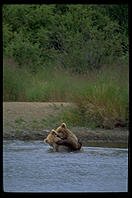 Katmai National Park, Alaska.