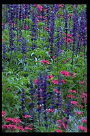 Butchart Gardens, Vancouver Island