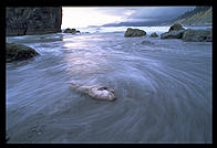 Ruby Beach. Olympic National Park (Washington State)