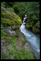 Avalanche Creek Falls, top of the Cedars Trail, Glacier National Park (Montana)