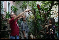 Digital photo titled angel-and-campeche-2