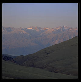 Ancient Bristlecone Pine Forest. Sunrise. Looking east toward the Sierra.