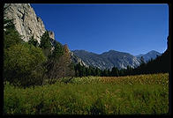 Kings Canyon National Park, California