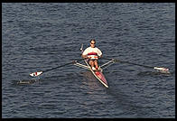 Head of the Charles Regatta, Sunday, October 18, 1998.  From the footbridge to Harvard Business School