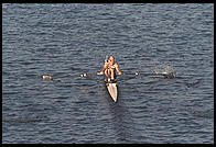 Head of the Charles Regatta, Sunday, October 18, 1998.  From the footbridge to Harvard Business School