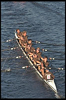 Head of the Charles Regatta, Sunday, October 18, 1998.  From the footbridge to Harvard Business School