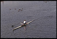 Head of the Charles Regatta, Sunday, October 18, 1998.  From the footbridge to Harvard Business School