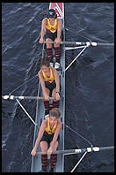 Head of the Charles Regatta, Sunday, October 18, 1998.  From the footbridge to Harvard Business School