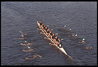 Head of the Charles Regatta, Sunday, October 18, 1998.  From the footbridge to Harvard Business School