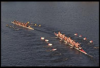 Head of the Charles Regatta, Sunday, October 18, 1998.  From the footbridge to Harvard Business School