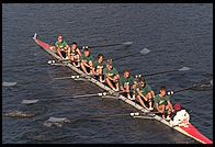 Head of the Charles Regatta, Sunday, October 18, 1998.  From the footbridge to Harvard Business School