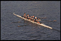 Head of the Charles Regatta, Sunday, October 18, 1998.  From the footbridge to Harvard Business School