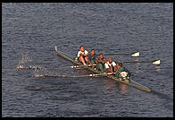 Head of the Charles Regatta, Sunday, October 18, 1998.  From the footbridge to Harvard Business School