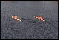 Head of the Charles Regatta, Sunday, October 18, 1998.  From the footbridge to Harvard Business School