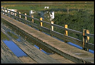 Floating Bridge.  Brookfield, Vermont